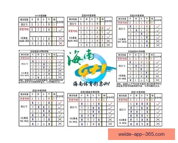 全面解析体育竞猜网站玩法技巧与投注技巧，让你轻松赢取奖金